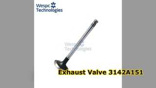 Exhaust Valve 3142A151