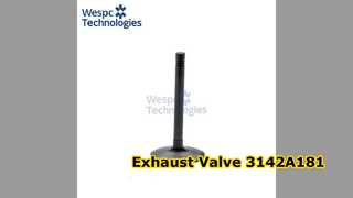 배기 밸브 3142A181