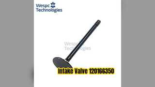 Intake Valve 120166350