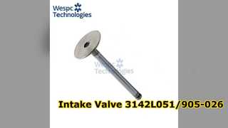 Intake Valve 3142L051/905-026