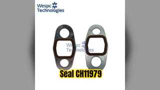 Seal CH11979