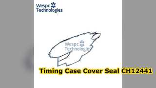 Timing Case Cover Seal CH12441